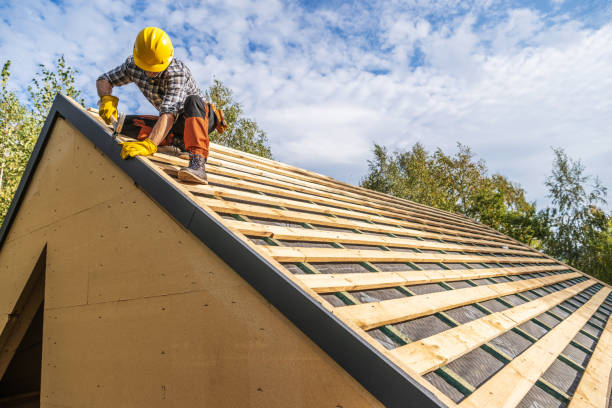 Best Roof Gutter Cleaning  in Navasota, TX